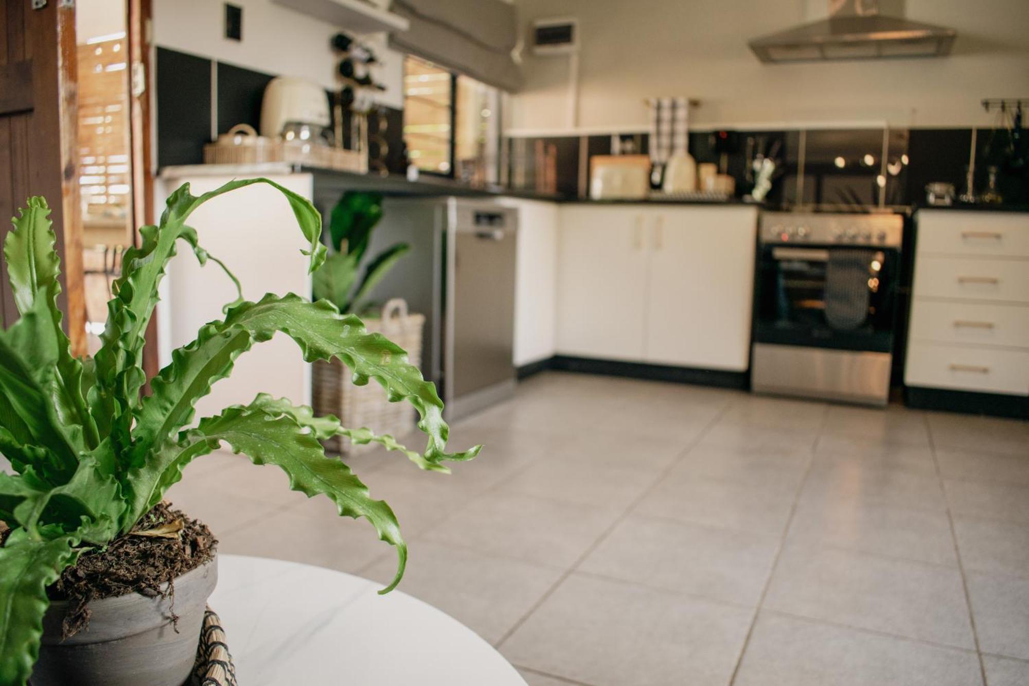 No 1 Dicks Street Apartment Howick Ngoại thất bức ảnh